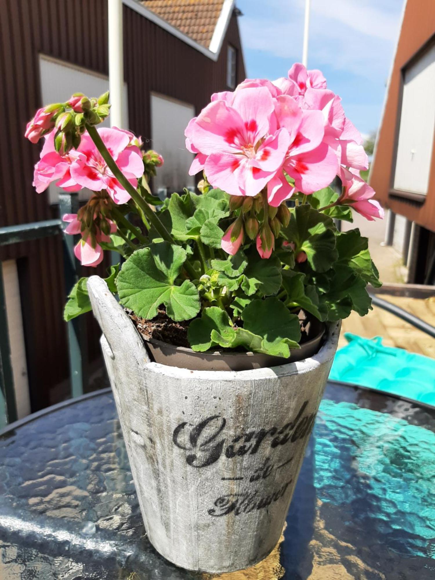B&B Hulleste Westerland Bagian luar foto